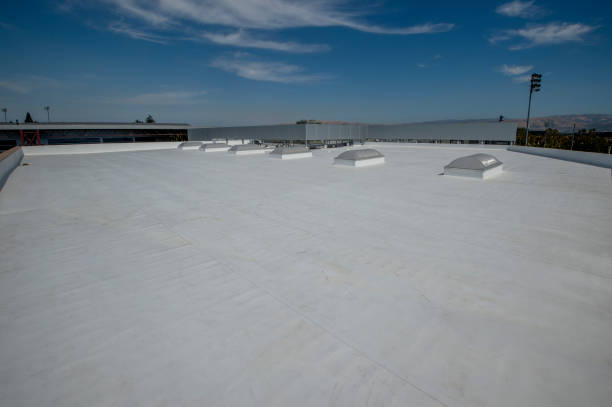 Best Roof Maintenance and Cleaning  in Mayo, SC