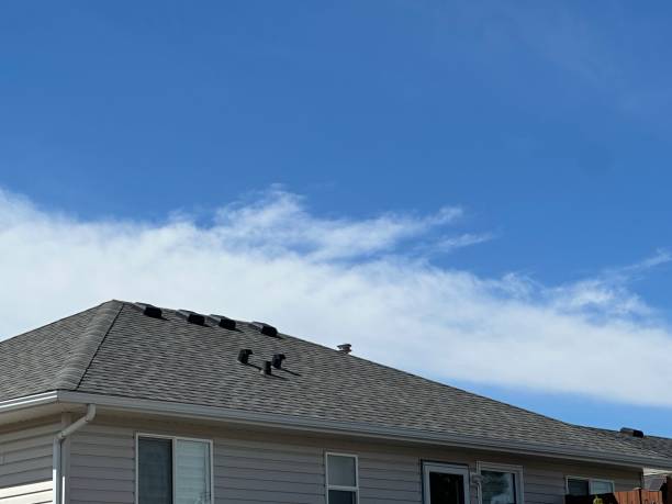 Sheet Metal Roofing in Mayo, SC